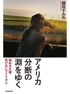 cover image of アメリカ 分断の淵をゆく: 悩める大国・めげないアメリカ人